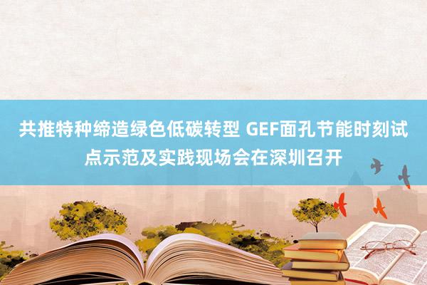 共推特种缔造绿色低碳转型 GEF面孔节能时刻试点示范及实践现场会在深圳召开